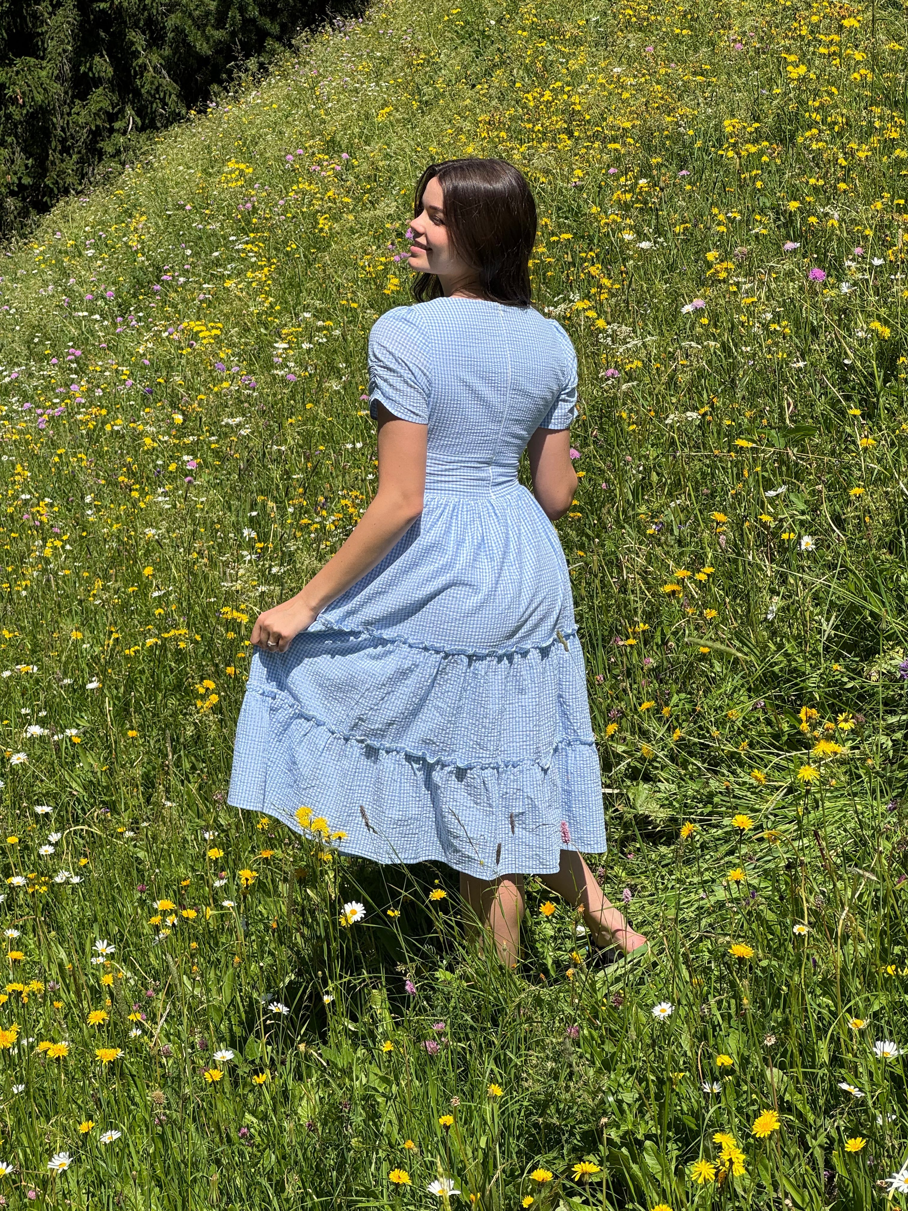 Limerick Dress in Gingham Sky | Baby Blue Midi Dress